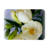 Magnet Flexible frénésie jaune blanc (Horizontal)