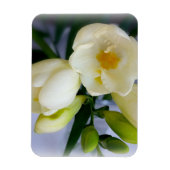 Magnet Flexible frénésie jaune blanc (Vertical)