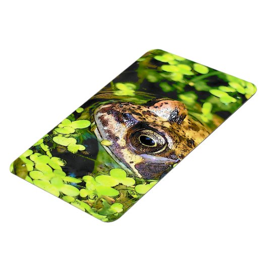 MAGNET FLEXIBLE FROG (Côté Gauche)