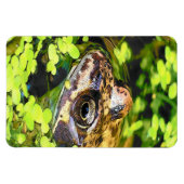 MAGNET FLEXIBLE FROG (Horizontal)