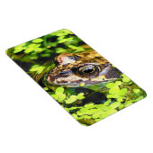 MAGNET FLEXIBLE FROG (Côté Droit)