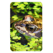MAGNET FLEXIBLE FROG (Vertical)