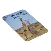 Magnet Flexible From South Africa (Côté Droit)