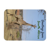 Magnet Flexible From South Africa (Horizontal)