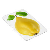 Magnet Flexible Fruit de coing (Côté Droit)