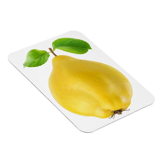 Magnet Flexible Fruit de coing (Côté Droit)
