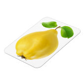 Magnet Flexible Fruit de coing (Côté Gauche)