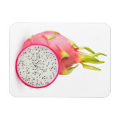 Magnet Flexible Fruit dragon (Horizontal)