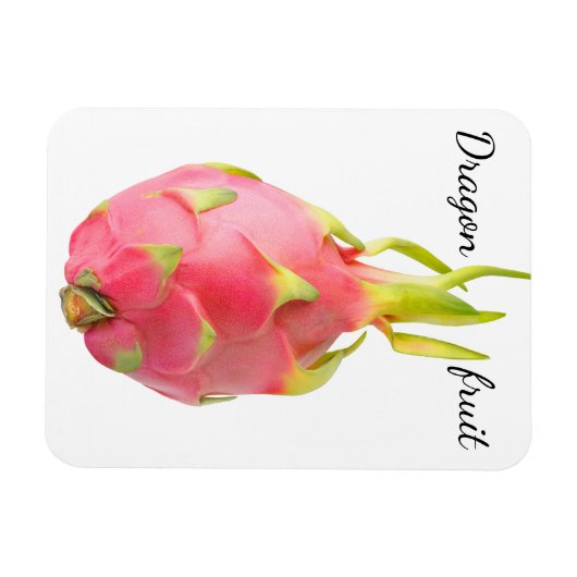 Magnet Flexible Fruit dragon (Horizontal)