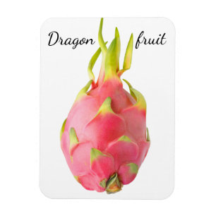 Magnet Flexible Fruit dragon
