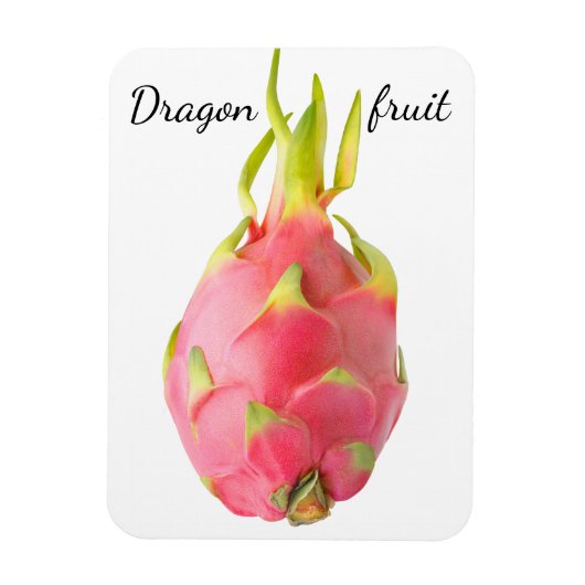 Magnet Flexible Fruit dragon (Vertical)