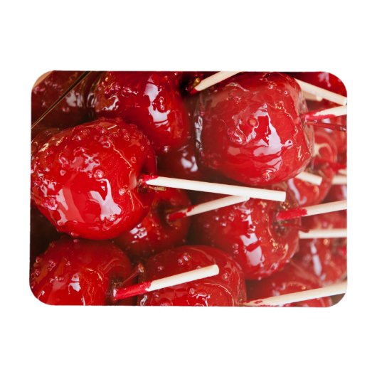 Magnet Flexible Fruit enrobé de bonbons au festival de la bière de (Horizontal)