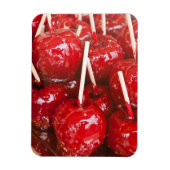 Magnet Flexible Fruit enrobé de bonbons au festival de la bière de (Vertical)