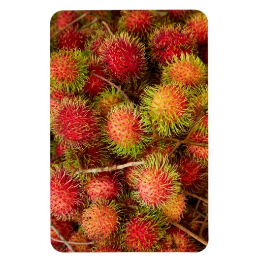 Magnet Flexible Fruit Rambutan au marché Can Duoc (Vertical)