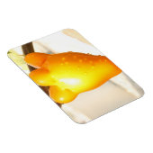 Magnet Flexible Fruit Visage Renard (Côté Droit)