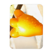 Magnet Flexible Fruit Visage Renard (Vertical)