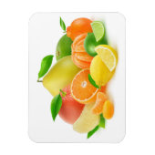 Magnet Flexible Fruits d'agrumes (Vertical)