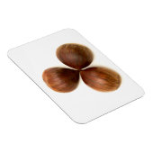 Magnet Flexible Fruits de châtaignes sucrés (Côté Droit)