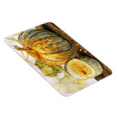 MAGNET FLEXIBLE FRUITS DE SAISON / CITROUILLE (Côté Droit)