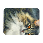 Magnet Flexible Funky Maine Coon Cat Art (Horizontal)