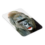 MAGNET FLEXIBLE FUNNY CUTE GORILLA (Côté Droit)