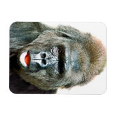 MAGNET FLEXIBLE FUNNY CUTE GORILLA (Horizontal)