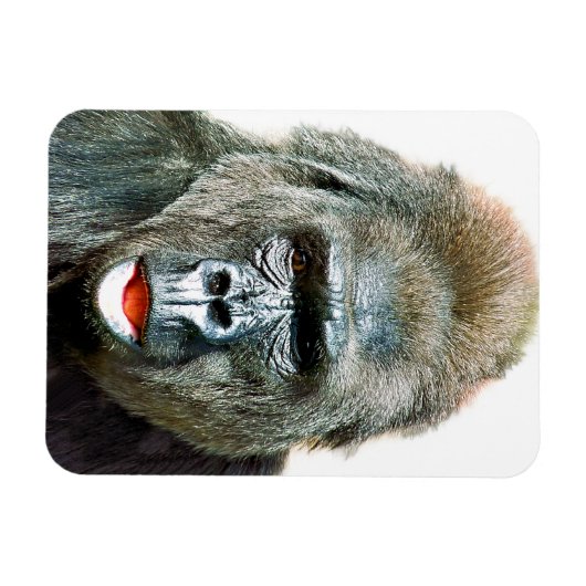 MAGNET FLEXIBLE FUNNY CUTE GORILLA (Horizontal)
