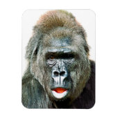 MAGNET FLEXIBLE FUNNY CUTE GORILLA (Vertical)