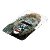 MAGNET FLEXIBLE FUNNY CUTE GORILLA (Côté Gauche)
