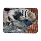 MAGNET FLEXIBLE FUNNY GORILLA (Horizontal)
