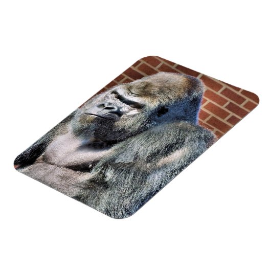 MAGNET FLEXIBLE FUNNY GORILLA (Côté Gauche)