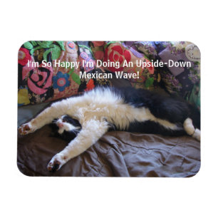 Magnet Flexible FunnyTuxedo Chat Cute faisant un aimant à vague me