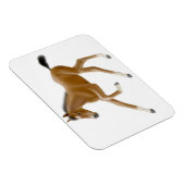 Magnet Flexible Futur aimant Premium Foin Champion Bay (Côté Droit)