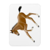 Magnet Flexible Futur aimant Premium Foin Champion Bay (Vertical)