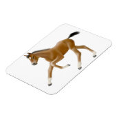 Magnet Flexible Futur aimant Premium Foin Champion Bay (Côté Gauche)