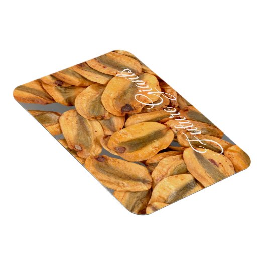 Magnet Flexible Futurs géants, Graines séquoias géantes (Côté Droit)