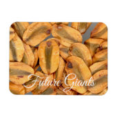 Magnet Flexible Futurs géants, Graines séquoias géantes (Horizontal)