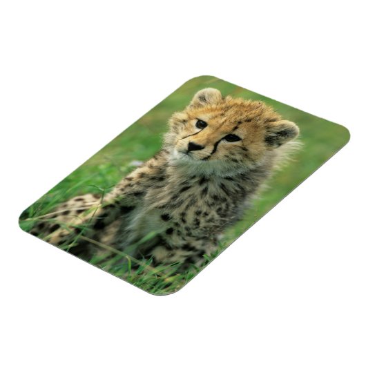 Magnet Flexible Fuzzy Cheetah Cub (Côté Gauche)