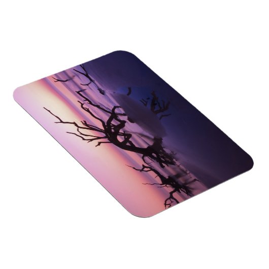 Magnet Flexible GA Jekyll Island, cimetière d'arbre sur la plage à (Côté Droit)