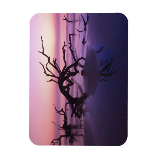 Magnet Flexible GA Jekyll Island, cimetière d'arbre sur la plage à (Vertical)