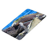 Magnet Flexible galapagos marine iguane (Côté Gauche)