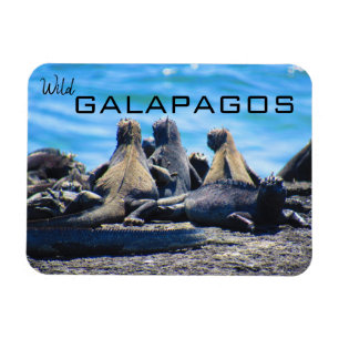 Magnet Flexible galapagos sauvages iguanes