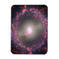 Galaxie Spirale Ngc 3351.