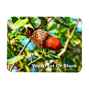 Magnet Flexible Galilee Acorn