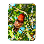 Magnet Flexible Galilee Acorn (Vertical)