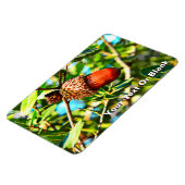 Magnet Flexible Galilee Acorn (Côté Gauche)