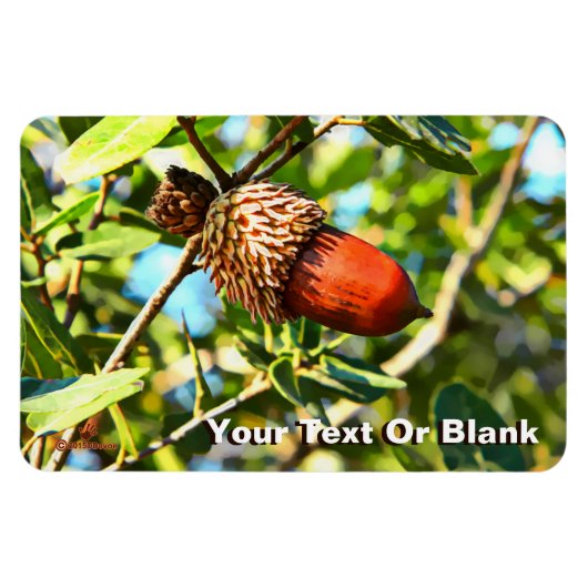 Magnet Flexible Galilee Acorn (Horizontal)