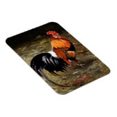 Magnet Flexible Gallo/Galo/Rooster (Côté Droit)