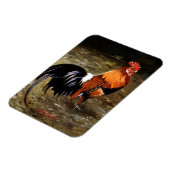 Magnet Flexible Gallo/Galo/Rooster (Côté Gauche)
