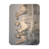 Magnet Flexible Galloping à cheval dans l'eau méditerranéenne (Vertical)